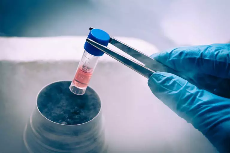Cell Research Pic