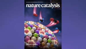 Nature Catalysis journal logo