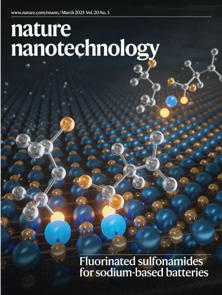 Nature Nanotechnology Pic