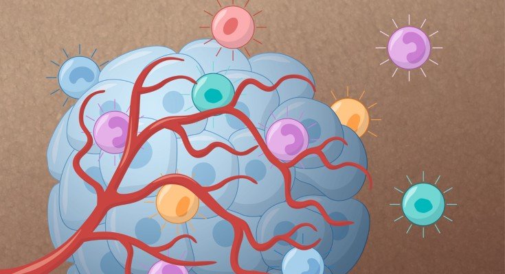 Nature Reviews Clinical Oncology Pic