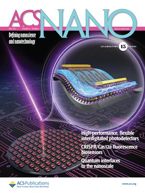 ACS Nano pic