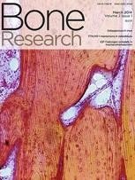 Bone Research pic