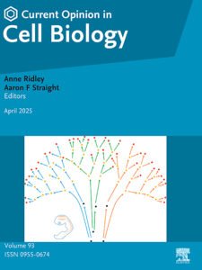 Current Opinion in Cell Biology journal logo