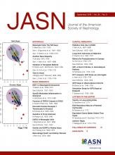 Journal of the American Society of Nephrology JASN Pic