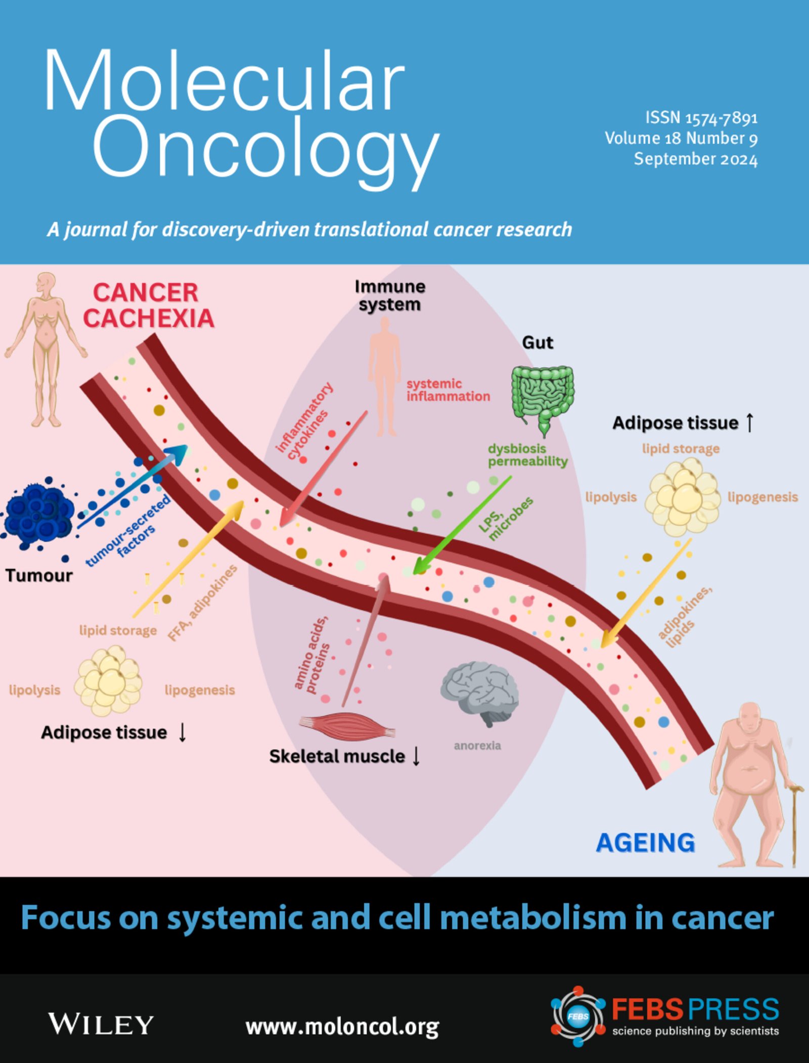 Molecular Cancer Pic