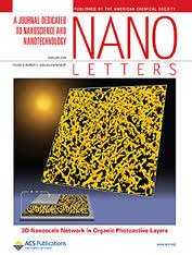 Nano Letters pic