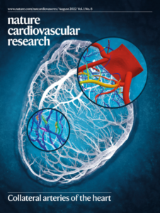 Nature Cardiovascular Research journal logo