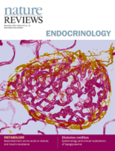 Nature Reviews Endocrinology journal logo