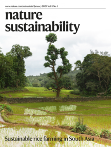 Nature Sustainability journal logo