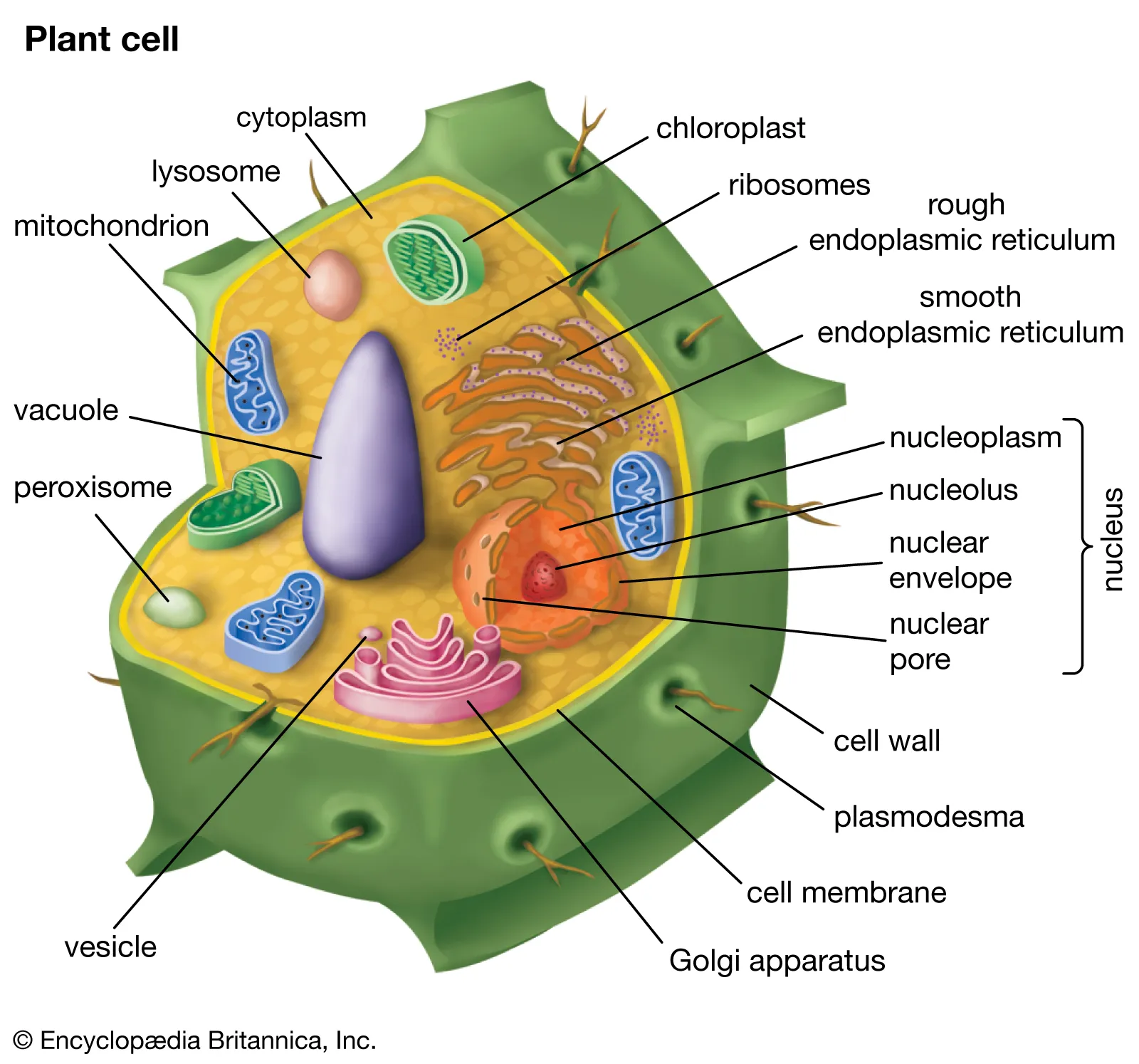 Journal of the American Chemical Society
