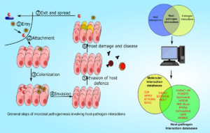 WIREs mechanisms of disease journal logo